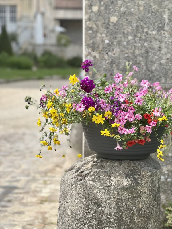 Le Printemps au Château d'Hazeville
