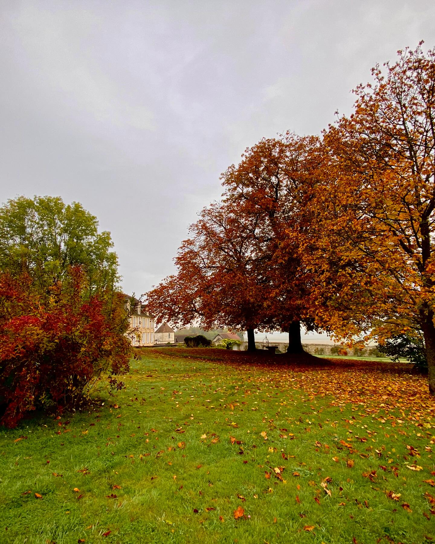 L'Automne au Château d'Hazeville