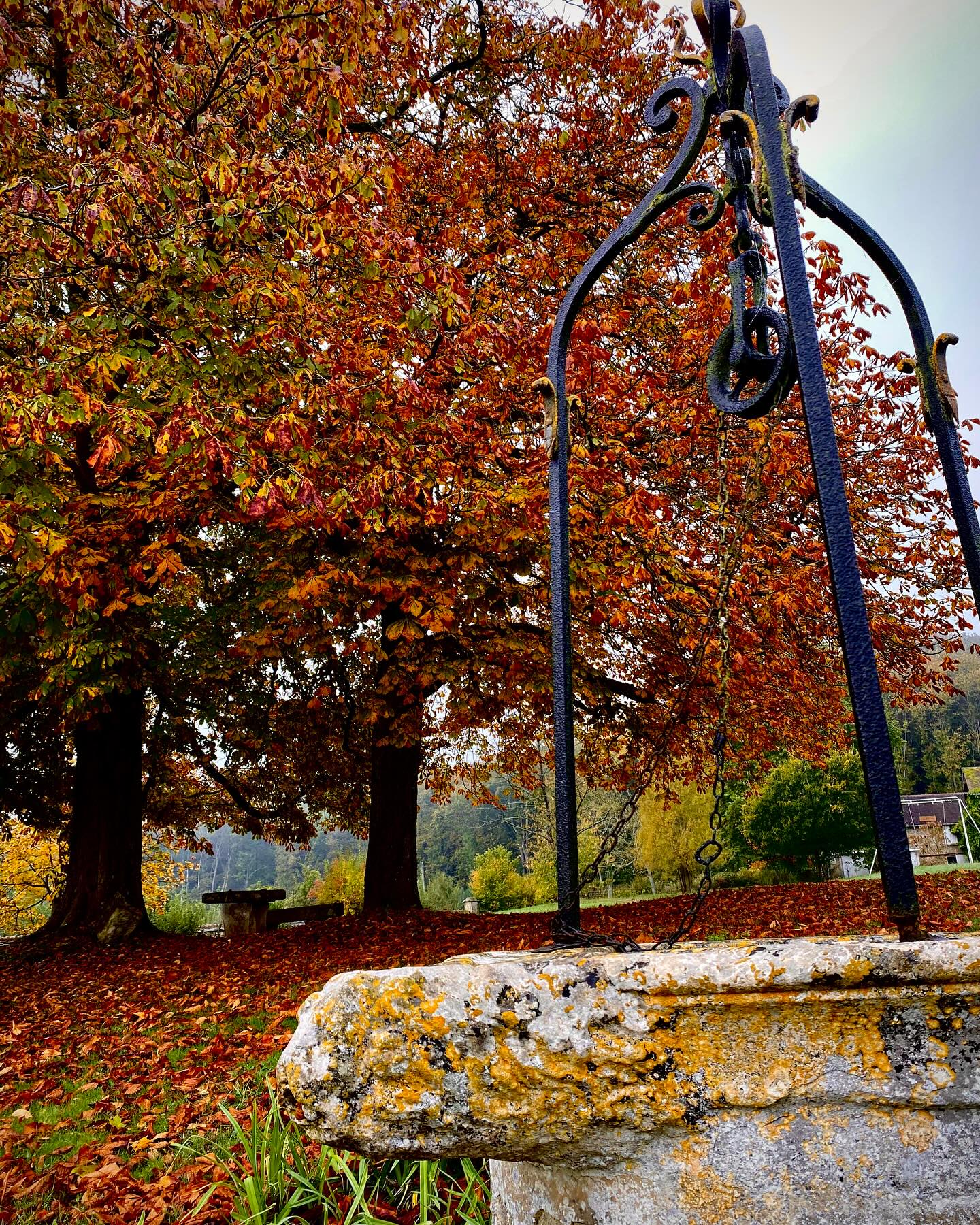 L'Automne au Château d'Hazeville