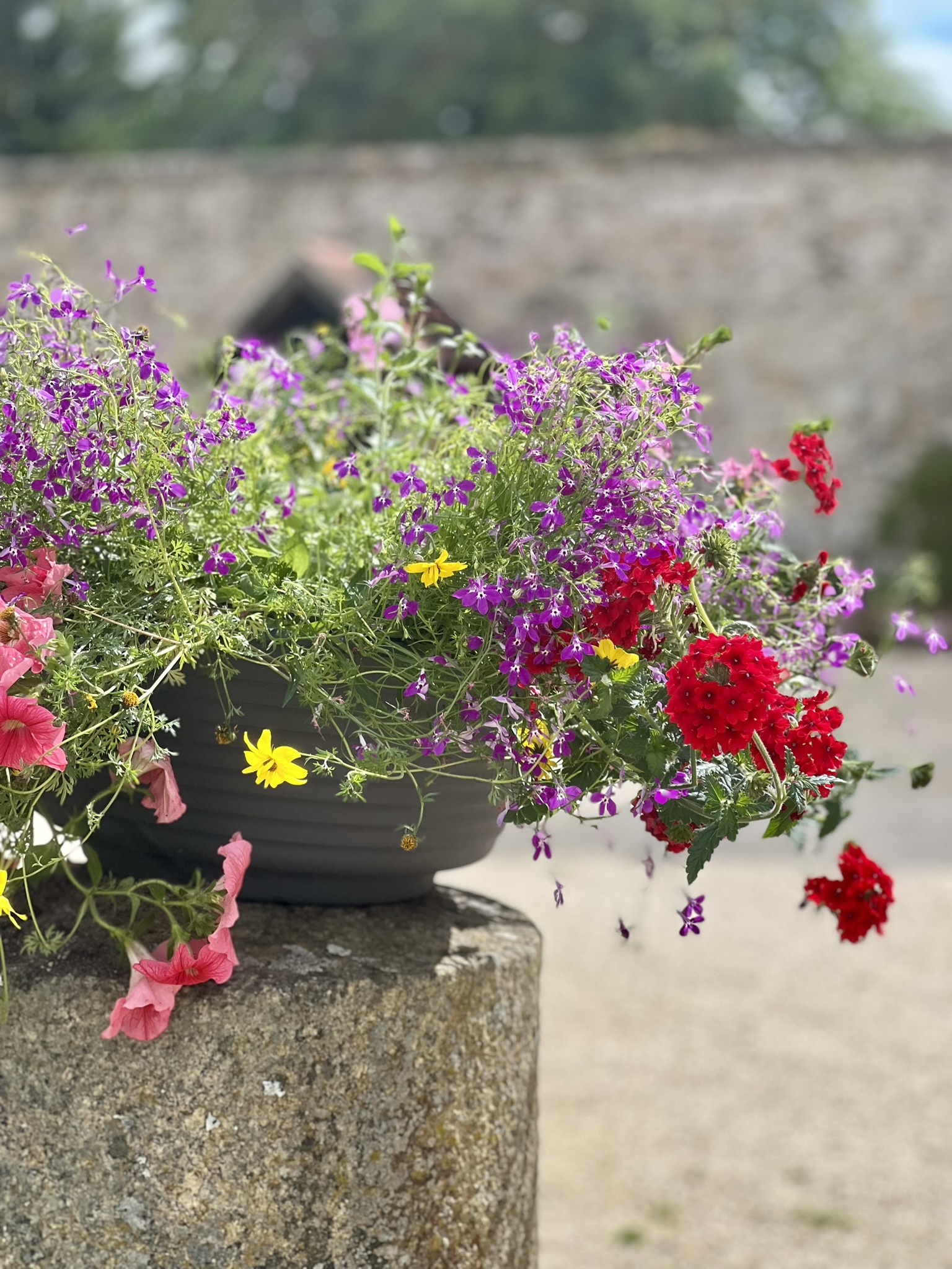 Le Printemps au Château d'Hazeville