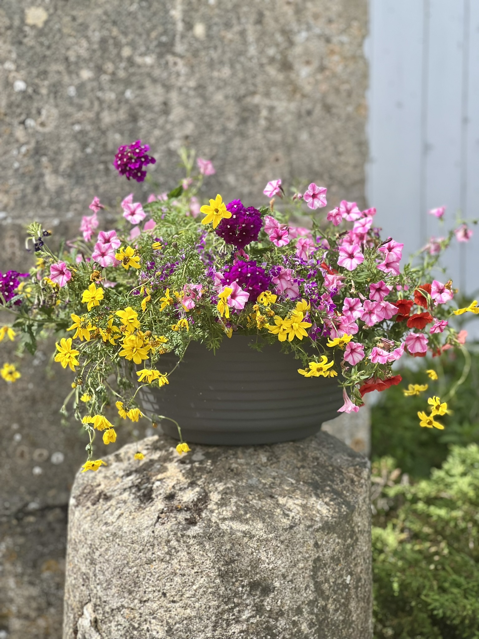 Le Printemps au Château d'Hazeville